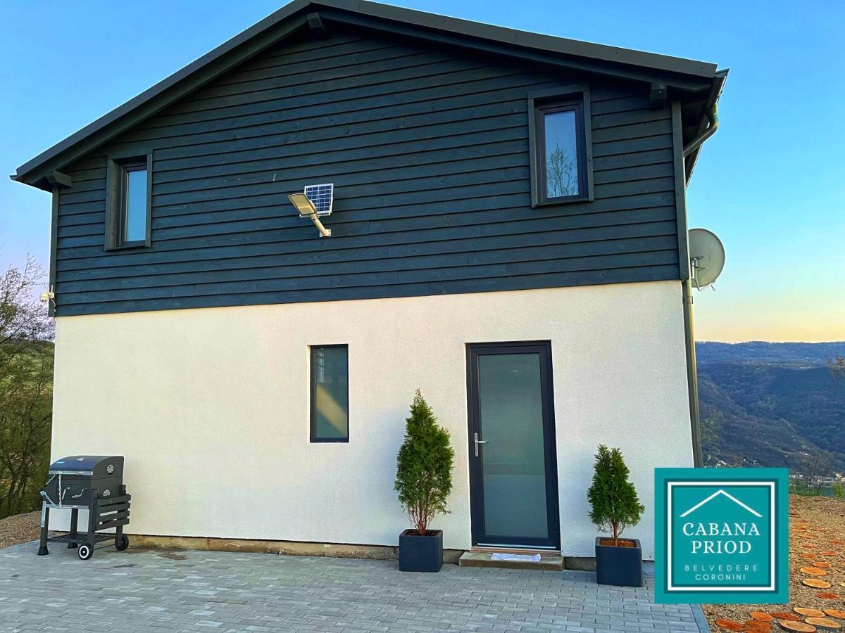 Cabana Priod Coronini Pescari Eksteriør billede