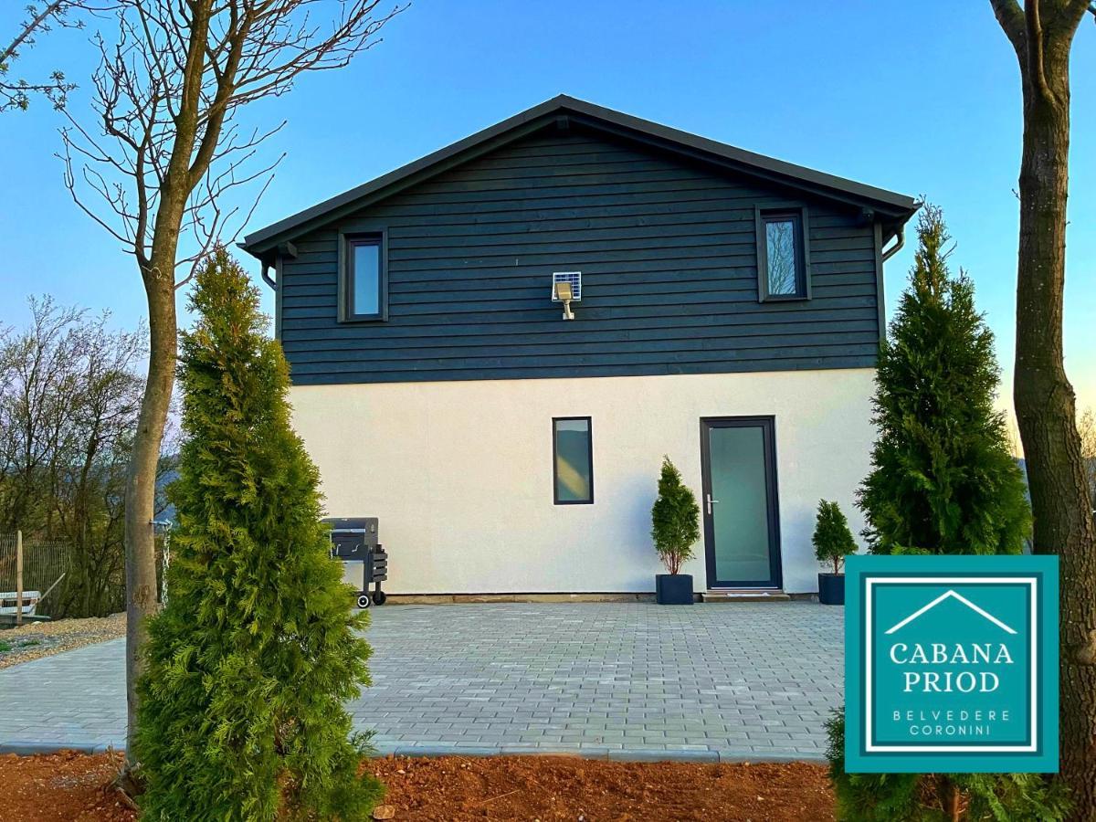 Cabana Priod Coronini Pescari Eksteriør billede
