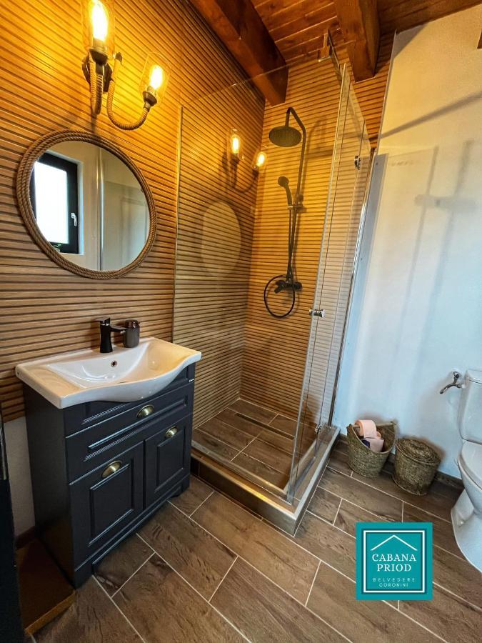 Cabana Priod Coronini Pescari Eksteriør billede