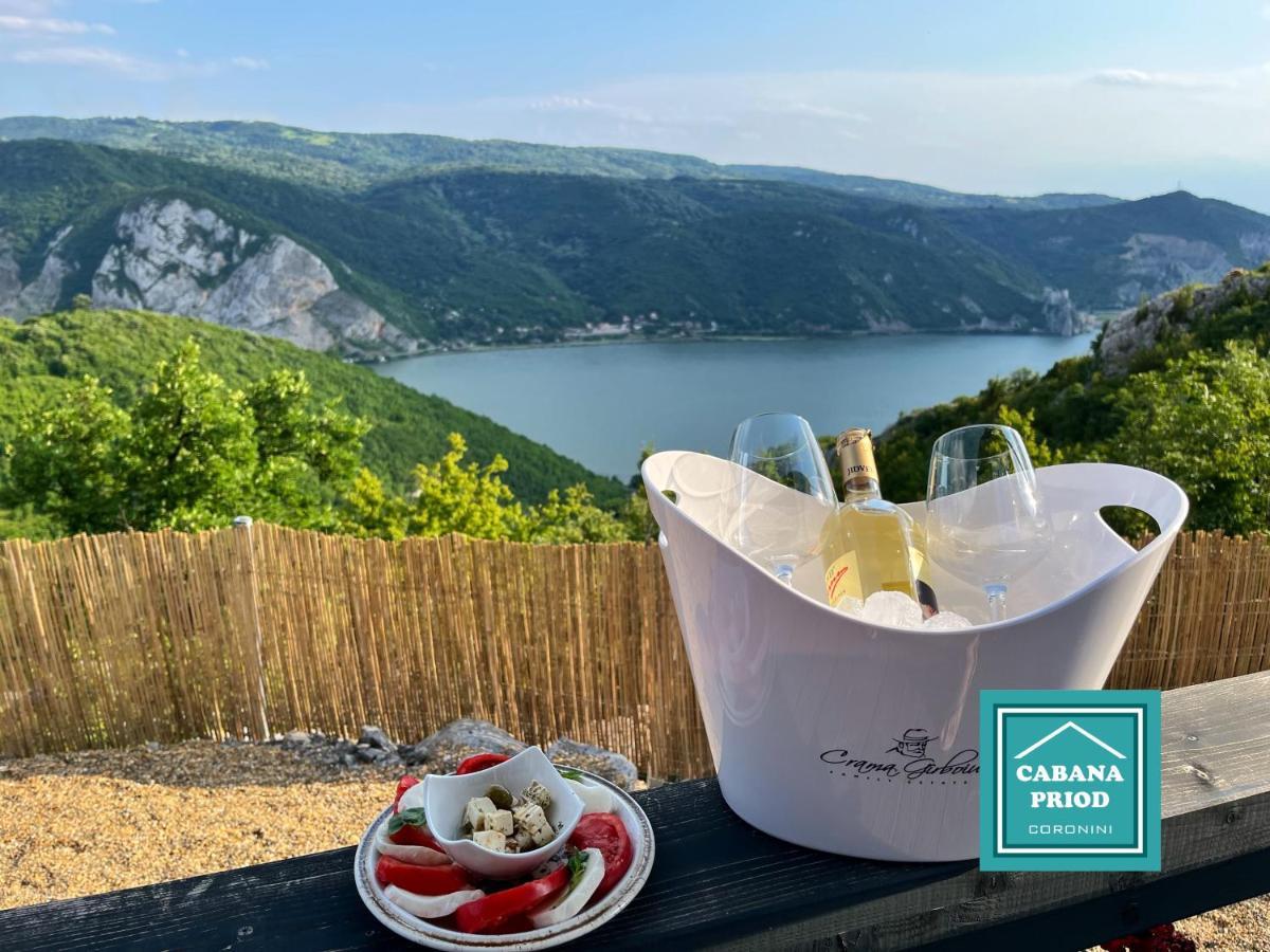 Cabana Priod Coronini Pescari Eksteriør billede
