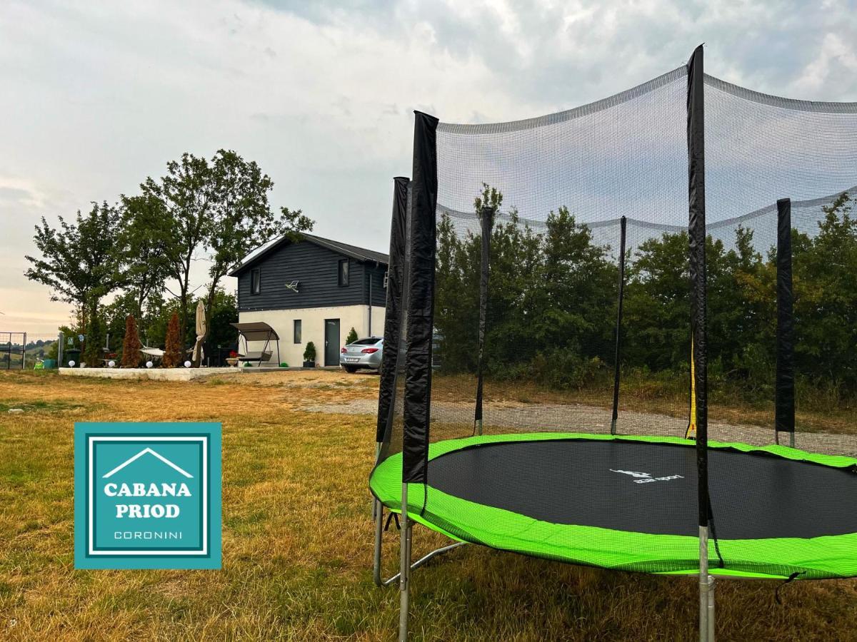 Cabana Priod Coronini Pescari Eksteriør billede
