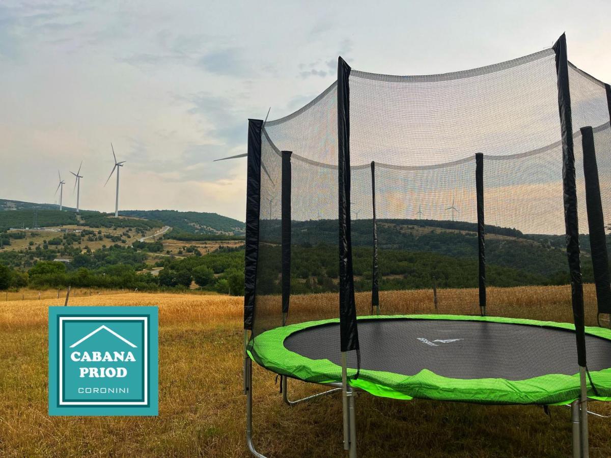 Cabana Priod Coronini Pescari Eksteriør billede